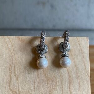 “Duo hoop” style multi-use earring